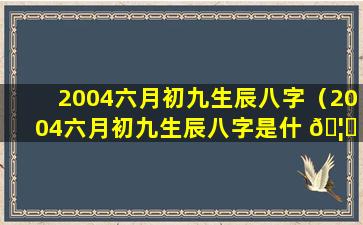 2004六月初九生辰八字（2004六月初九生辰八字是什 🦊 么 🐳 ）